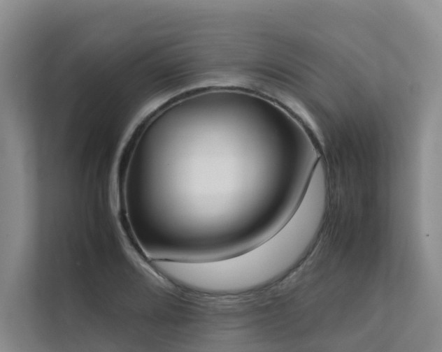 X0000111351080200907101205