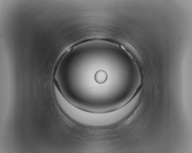 X0000111351081200907101205