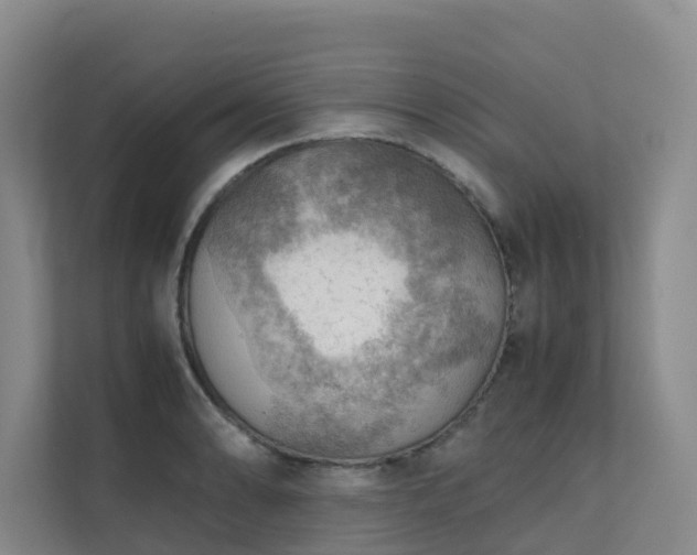 X0000111351086200907101205