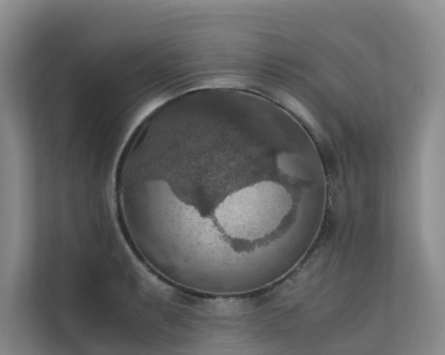 X0000111351087200907101205