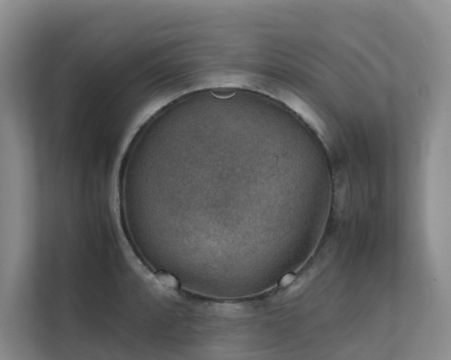 X0000111351088200907101205