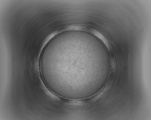 X0000111351090200907101205