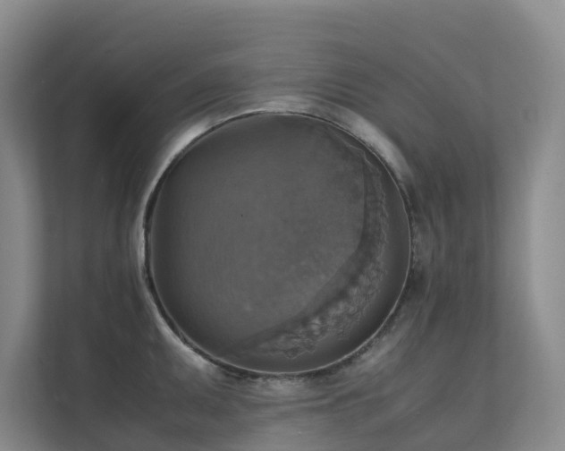 X0000111351095200907101205