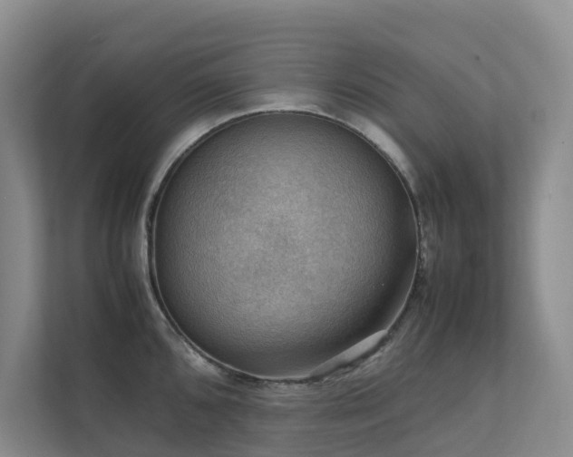 X0000111351096200907101205