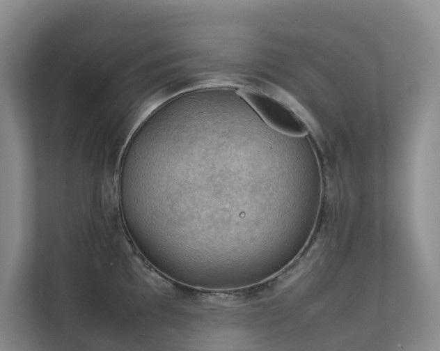 X0000111351097200907101205