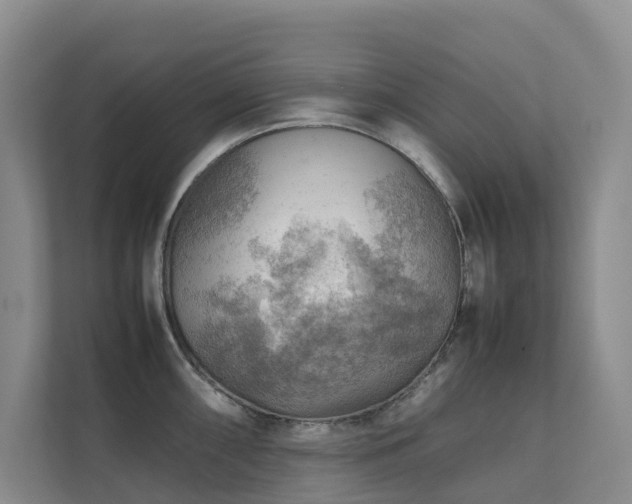 X0000111351098200907101205