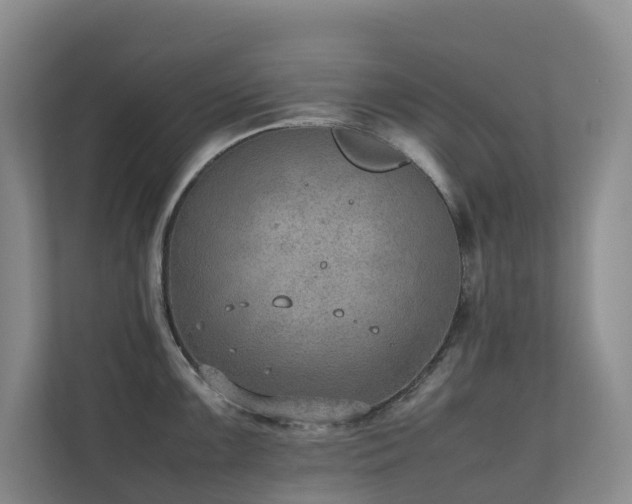 X0000111351099200907101205