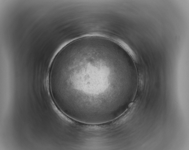 X0000111351100200907101205
