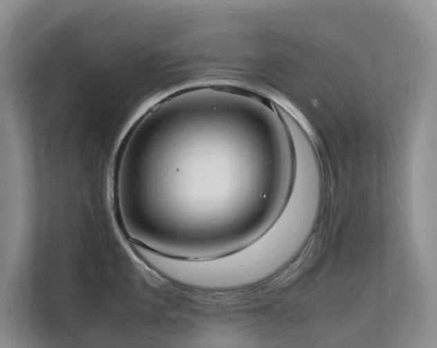 X0000111351101200907101205