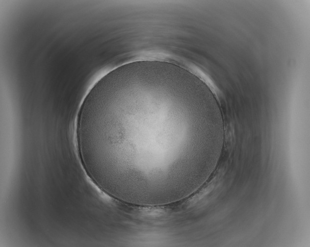 X0000111351103200907101205