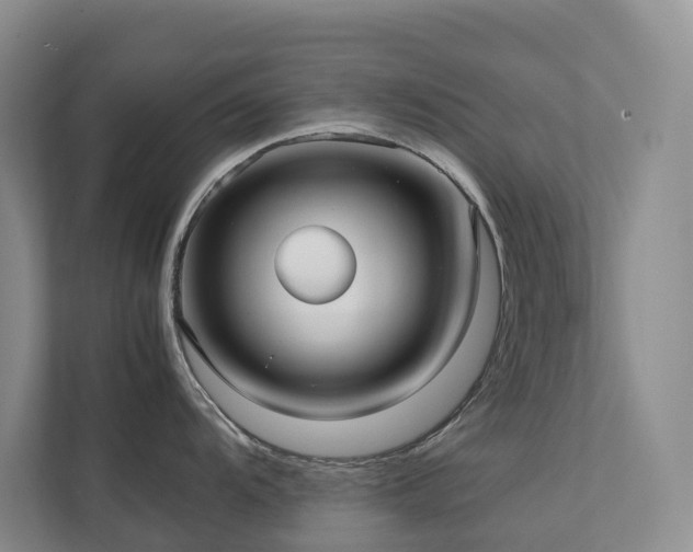 X0000111351104200907101205