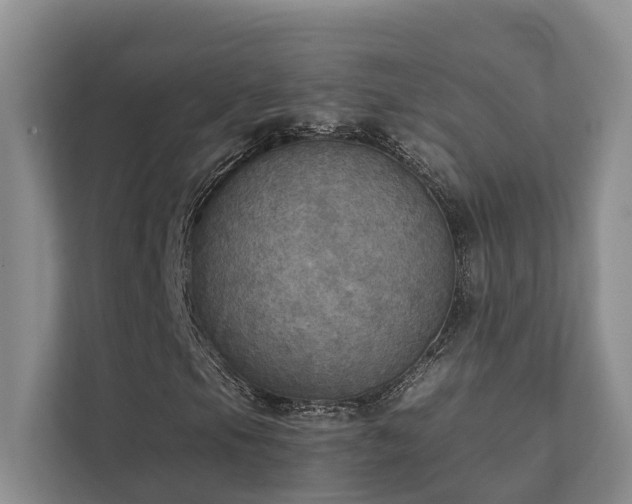 X0000111351105200907101204