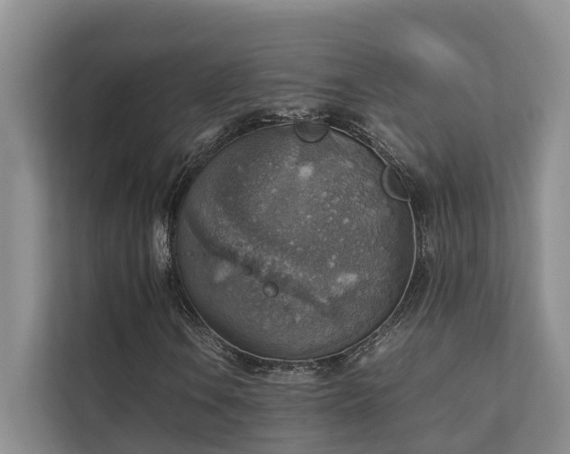 X0000111351106200907101204