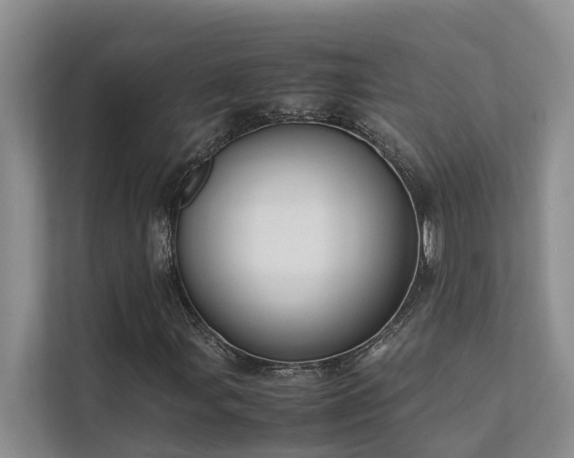 X0000111351107200907101204
