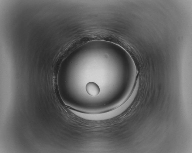 X0000111351108200907101204