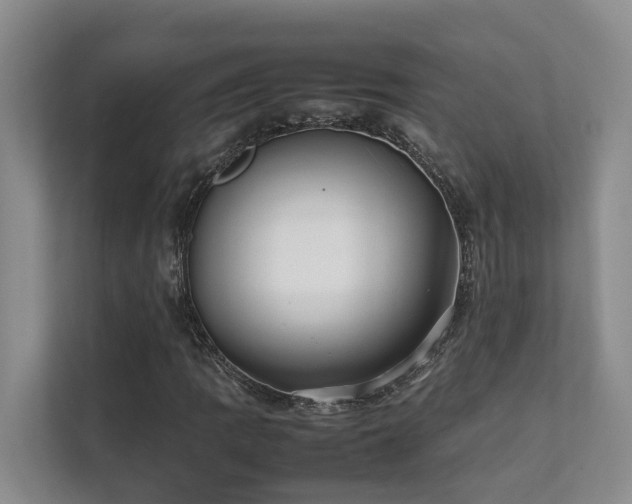X0000111351109200907101204