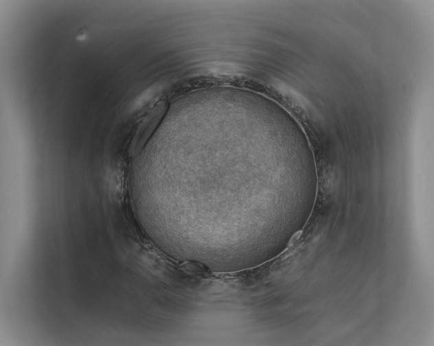 X0000111351110200907101204
