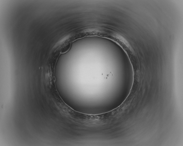 X0000111351111200907101204