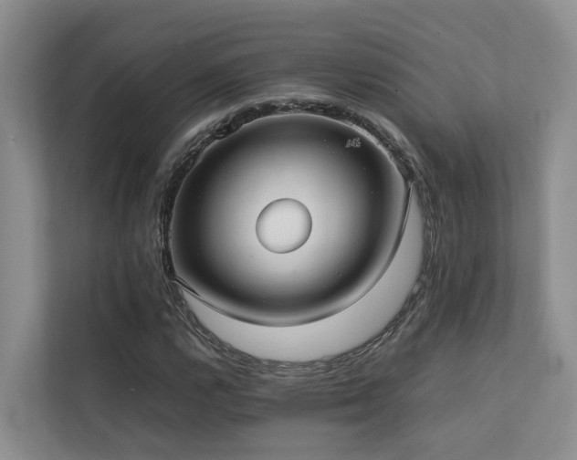 X0000111351112200907101204
