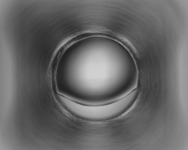 X0000111351114200907101204