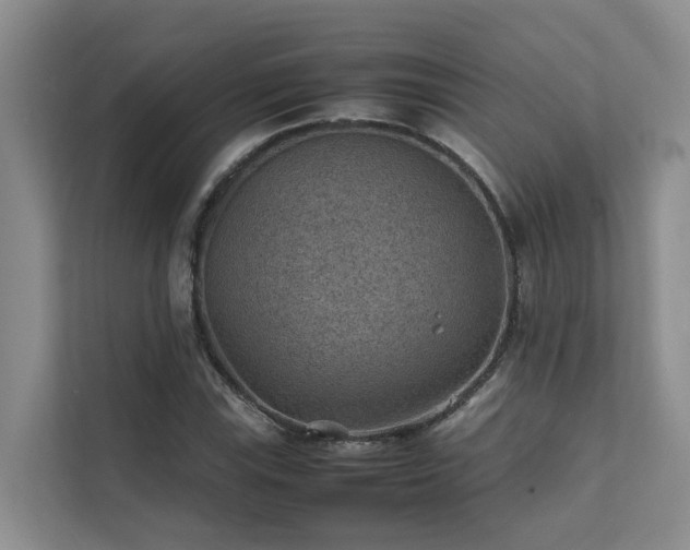 X0000111351115200907101204
