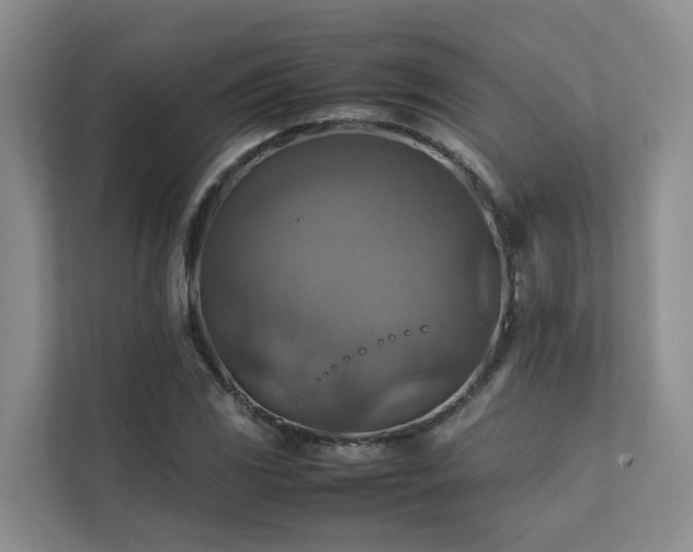 X0000111351117200907101204
