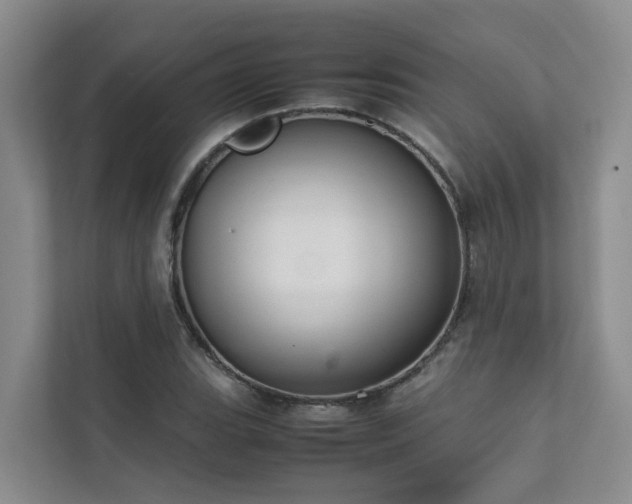X0000111351119200907101204