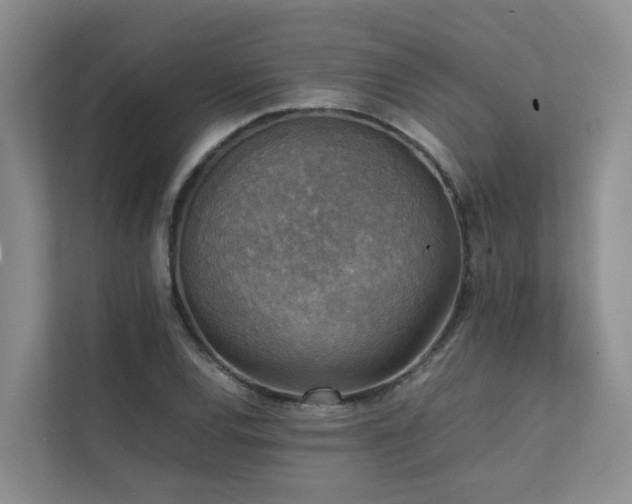 X0000111351120200907101204