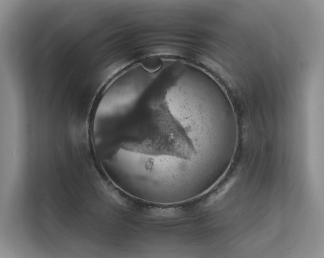 X0000111351121200907101204