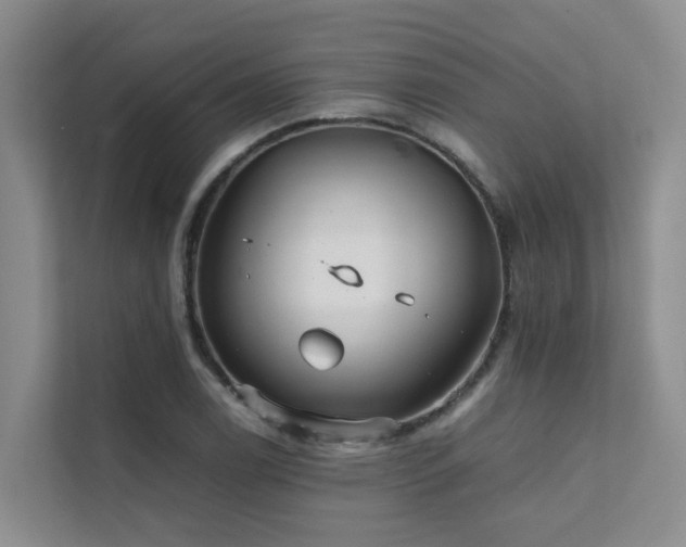 X0000111351122200907101204