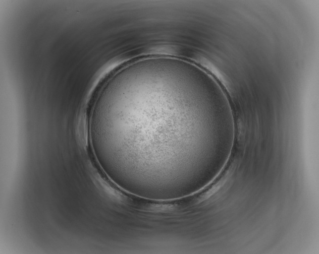 X0000111351123200907101204