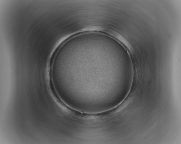 X0000111351124200907101204