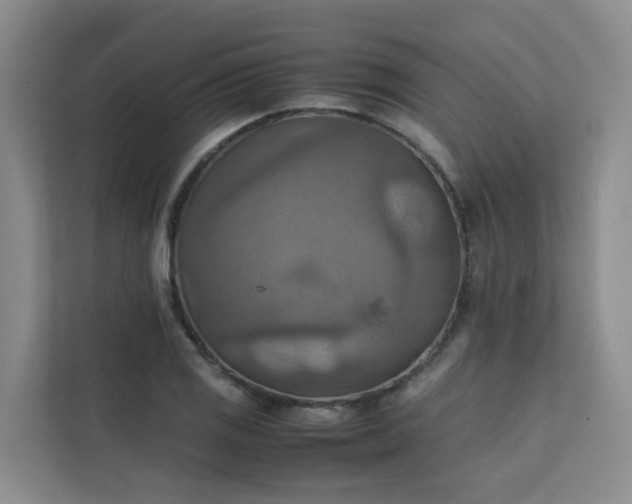 X0000111351125200907101204