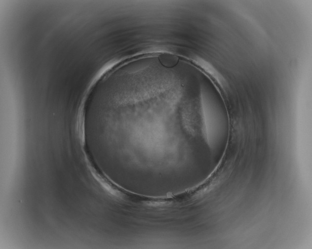 X0000111351127200907101204