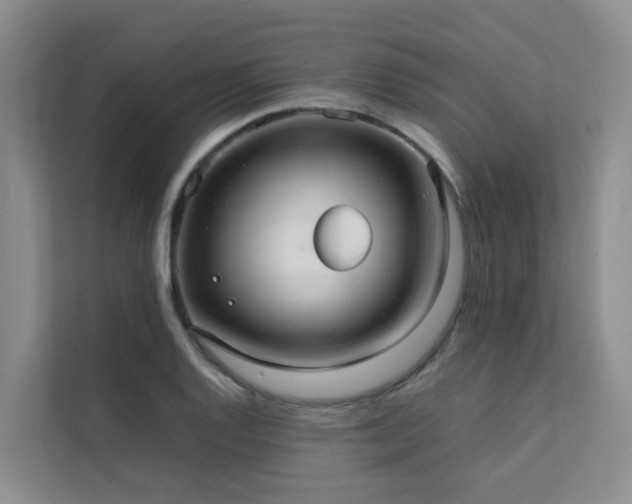 X0000111351128200907101204