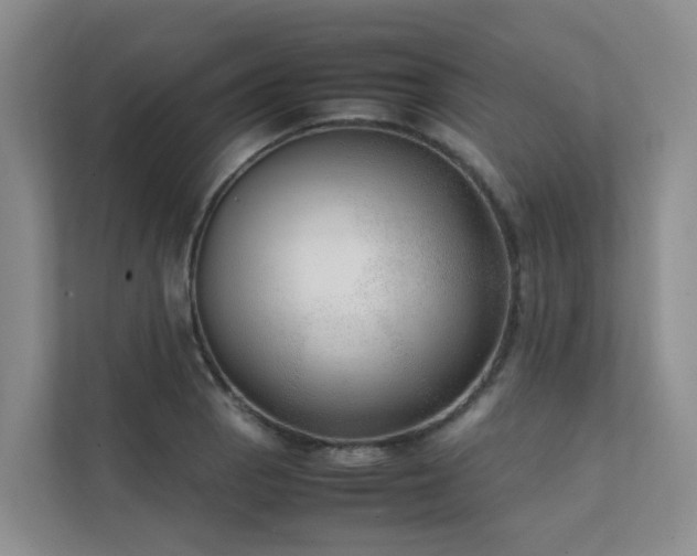 X0000111351129200907101204