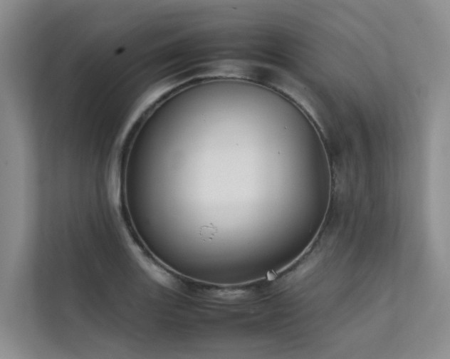 X0000111351131200907101204