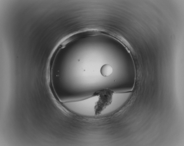 X0000111351132200907101204