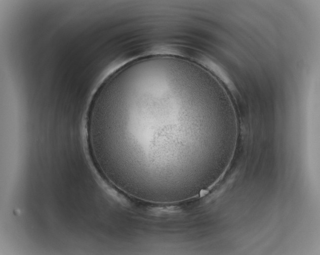 X0000111351133200907101204