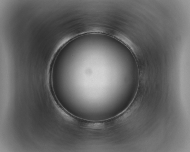 X0000111351135200907101204