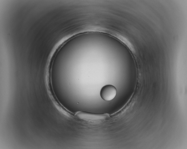X0000111351136200907101204