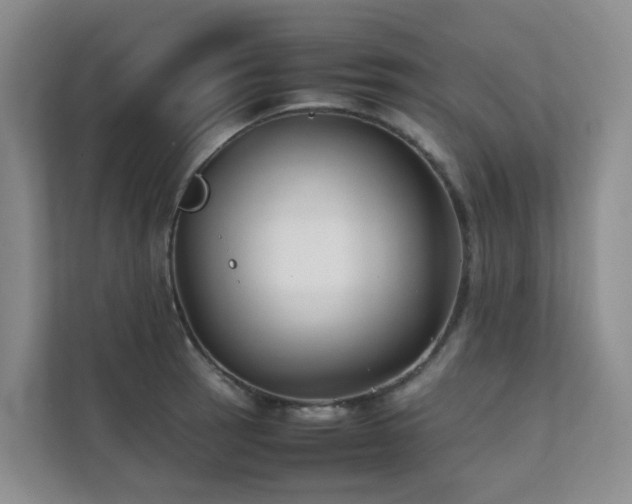 X0000111351137200907101204