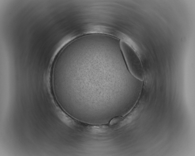 X0000111351138200907101204