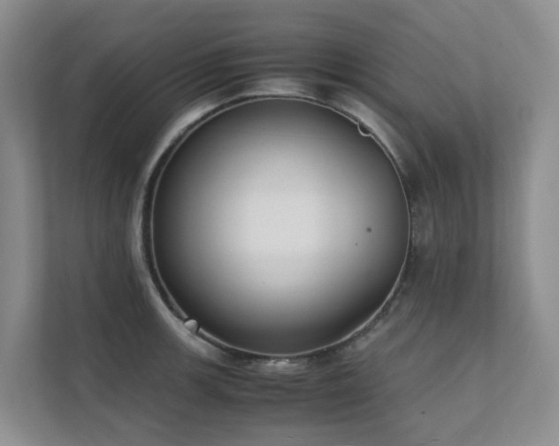 X0000111351139200907101204
