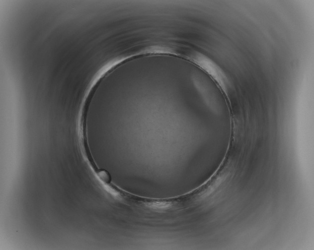 X0000111351141200907101205