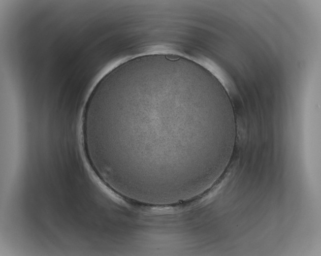 X0000111351142200907101205