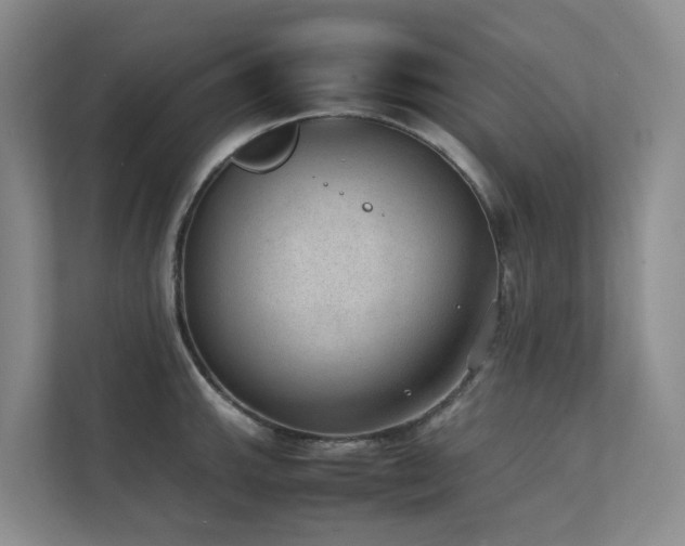 X0000111351143200907101205