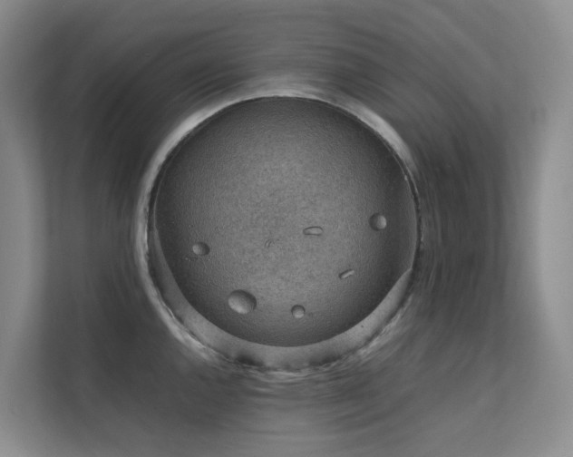 X0000111351144200907101205