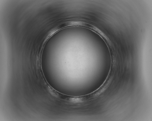 X0000111351145200907101205