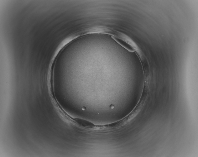 X0000111351146200907101205